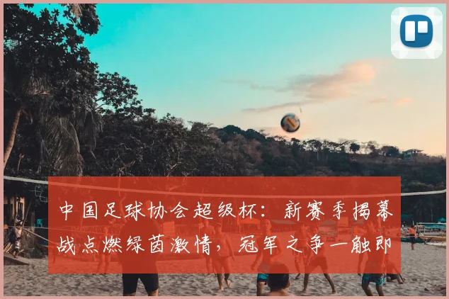 中国足球协会超级杯：新赛季揭幕战点燃绿茵激情，冠军之争一触即发